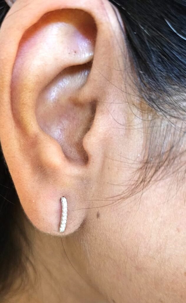 Chic Arc Silver Earring