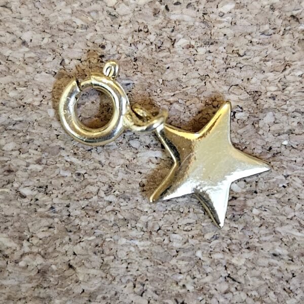 Twinkle Gold Star Pendant charm